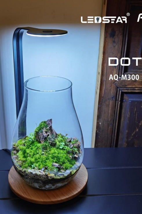 LEDStar AQ DOT - Desktop Light WRGB Stand Only